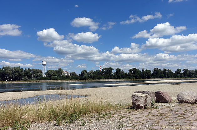 Rhein bei Niedrigwasser in Au am Rhein