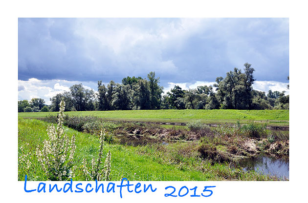 Landschaft 2015