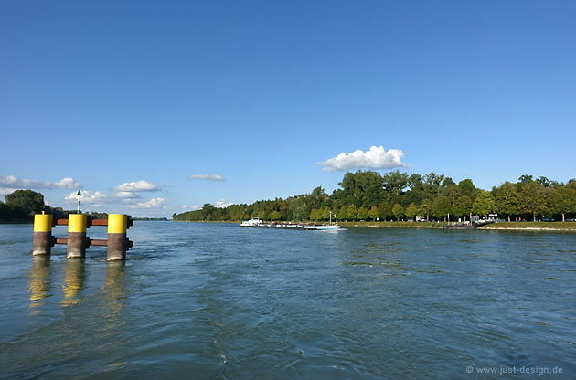 Rhein bei Plittersdorf