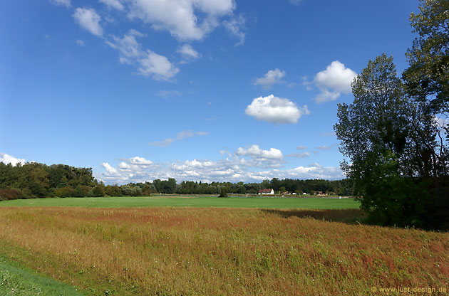 Blick über den Rhein