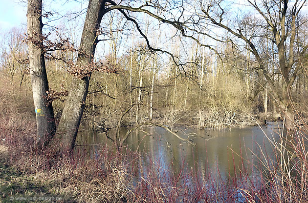 Altrhein bei Au am Rhein