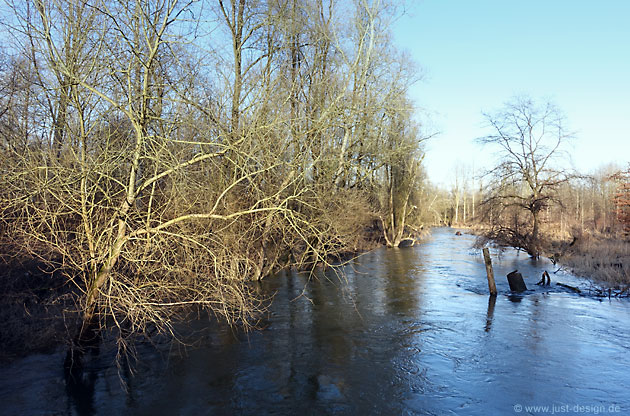 Hochwasser bei Au am Rhein