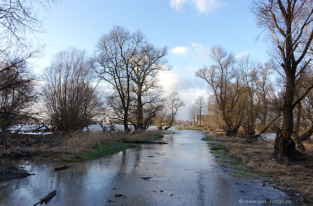 Hochwasser bei Au am Rhein