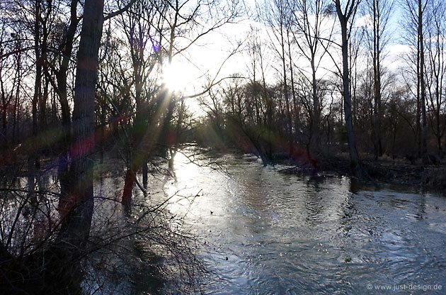 Hochwasser bei Au am Rhein
