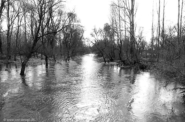 Hochwasser bei Au am Rhein