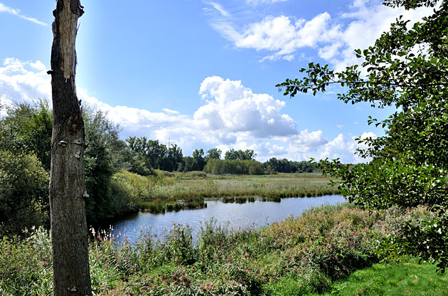 Federbachbruch bei Muggensturm