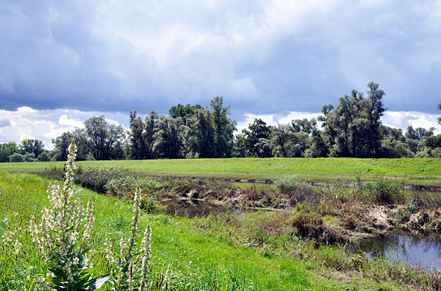 Murg bei Steinmauern
