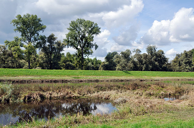 Murg bei Steinmauern